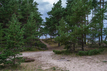 baltic sea beach with white sand and large rocks