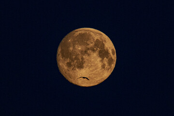 bright moon in the dark night sky