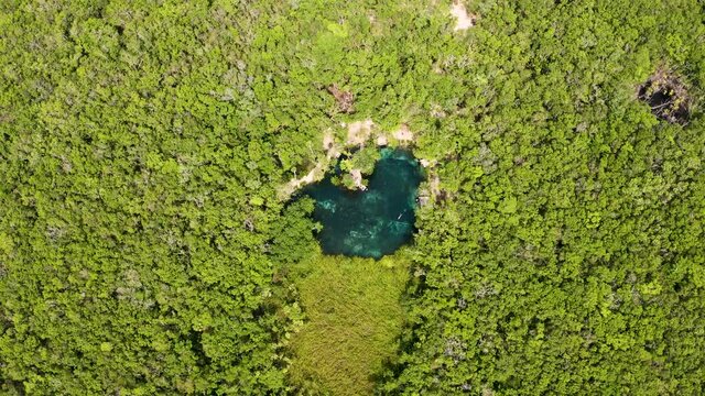 Aerial view of the beautiful heart shaped cenote 