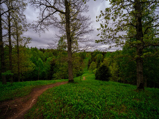 narrow tourist hiking trail in forest