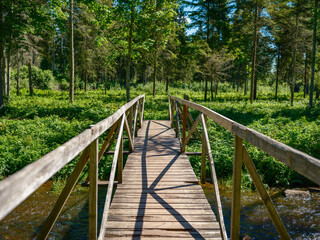 Fototapeta na wymiar wooden plank footpath in forest for hiking