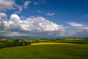 Panorama of green field  on a sunny summer day.Natural landscape.