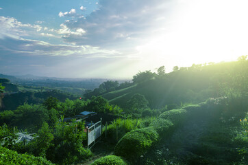 Nature Landscape During Sunset