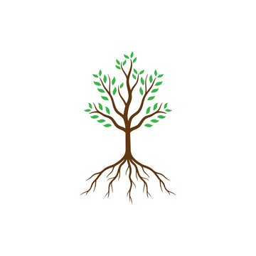 Abstract tree with roots and green leaves vector illustration