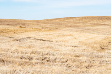 field in North Dakota
