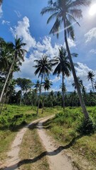 Obraz premium Diverse nature Ocean Sea Element Landscape Sky Clumps Mountains Palms Trees Beauty Lowland