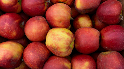 Ripe red-yellow apples in a box