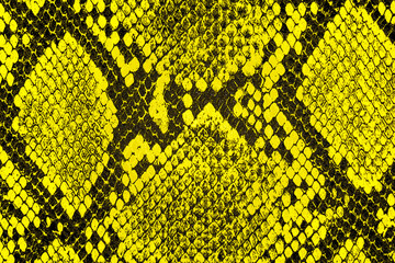 Yellow snake skin background. Yellow python leather as background.
