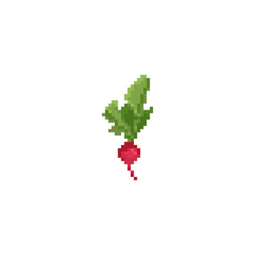 recommend clip art: Pixel art radish icon. Vector vintage style illustration radish symbol for graphic web design, paper or fabric. 8 bit pixel retro style gaming radish icon.