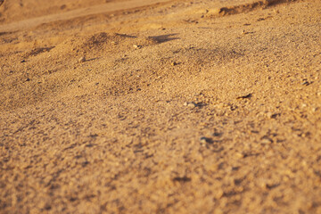 Desert sand at sunset close-up. Sand texture. Background. Place for text