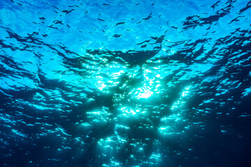 Fototapeta na wymiar A shot taken of the surface of the sea looking up from beneath