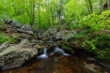 Statte river in the Belgium Ardennes is a small river full of cascades, like the Cascade de Nutons in the Liege Province. A perfect area of activities