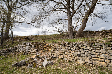 broken stone wall and trees