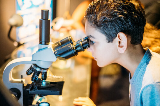 children looking through microscope