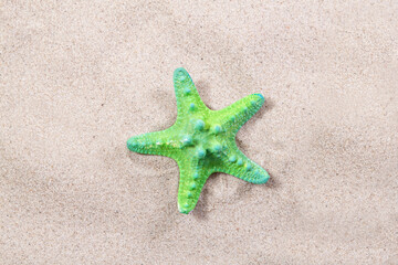 Fototapeta na wymiar green starfish on the sand close-up top view. Starfish on the beach. Beach summer background with sand, sea and copyspace