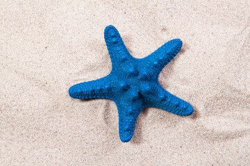 blue starfish on the sand close-up top view. Starfish on the beach. Beach summer background with sand, sea and copyspace