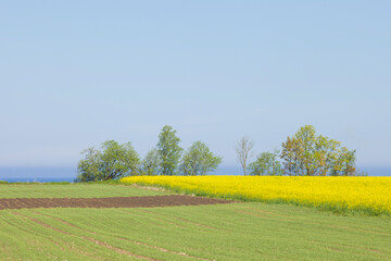 photo of beautiful fields in spring