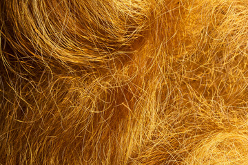Fototapeta premium Mixed form of copper wire and rope helix