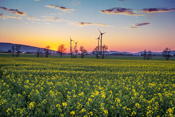 Country landscape in sunshine in Germany