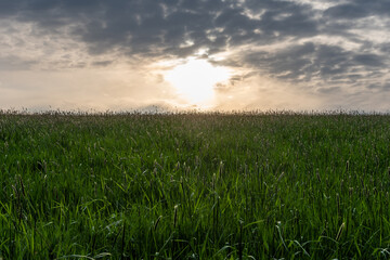 Country landscape in sunshine in Germany
