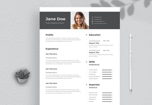 Professional Clean Resume