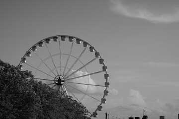 ferris wheel in the park