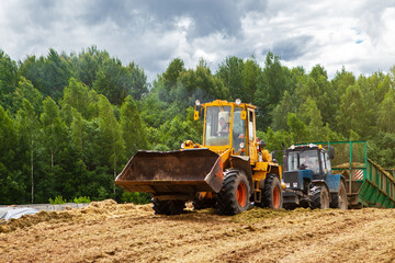 Fototapeta premium A bulldozer and a tractor compact the cut grass in a silage trench.