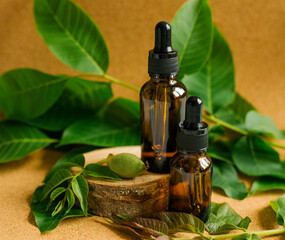 Two glass bottles of walnut oil on a piece of wood. Cosmetic and medical product.