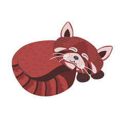 Cute red panda in cartoon style, he is sleeping. Stock vector illustration isolated on white background.