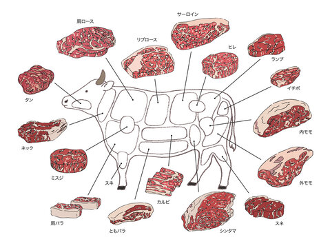 部位 Images Browse 1 8 Stock Photos Vectors And Video Adobe Stock