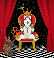 On a red throne a dog husky in a gold crown holds a scepter and a goblet.