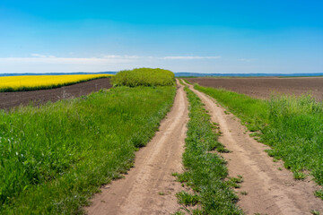 road in the field