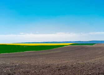 landscape with a field and sky