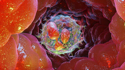 3d Illustration of Neutrophiles type Leukocyte cell, white blood cells, 3d render - obrazy, fototapety, plakaty