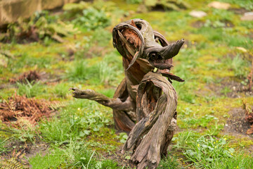 A dried-up tree trunk of a bizarre shape in an old garden. Selective focus.