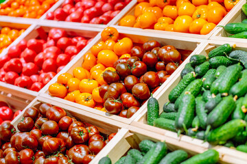 Fresh organic vegetables at farmers market, selective focus