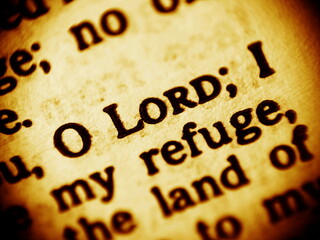 Close up photo of a Bible text focused on the words  