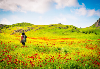 Panoramic view beautiful brunette woman enjoy spring wild nature landscape alone surrounded poppy flowers