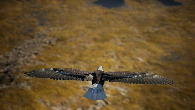 slow motion american bald eagle in flight over alaskan mountains