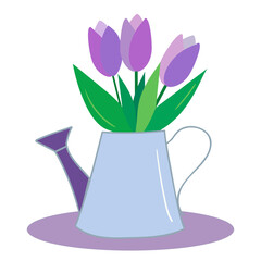 Retro watering can with polka dots, with three tulips , isolated on white background.