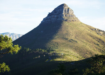 Lions Head At A Distance