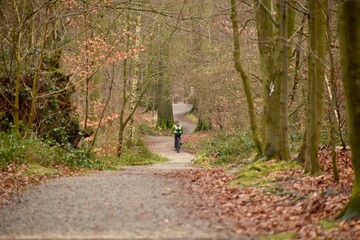 Cyclist going downhill in the forest bike path