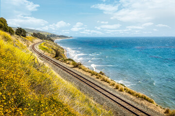 Pacific railroad along the coast of California with blooming wildflowers in springtime - 437307145