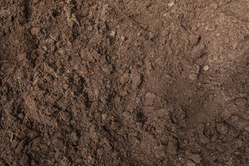 Brown empty soil ground texture background, top view
