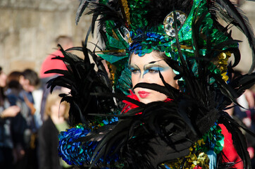 Fototapeta na wymiar mujer disfrazada en carnaval