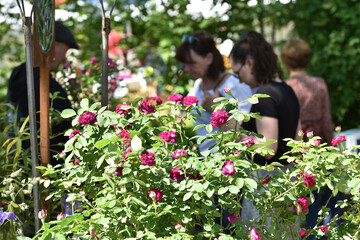 Gartenausstellung 