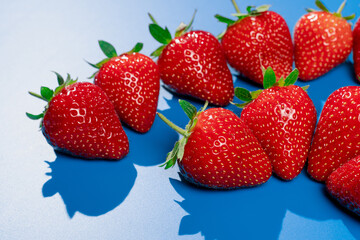 Bunch of strawberries on blue background. Red berry summer seasonal fruit.