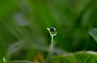 An entire world can be in water droplet