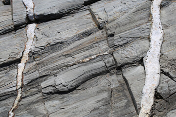 American Northeast sea coast white quartz crack fissure cross cut vein in ocean-side granite rock - obrazy, fototapety, plakaty