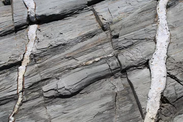 Foto auf Alu-Dibond American Northeast sea coast white quartz crack fissure cross cut vein in ocean-side granite rock © R. Berube